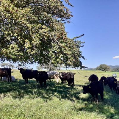 645e19a1 Edd3 48e5 A4b4 E040ae259e1f